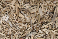 biomass boilers Torranyard